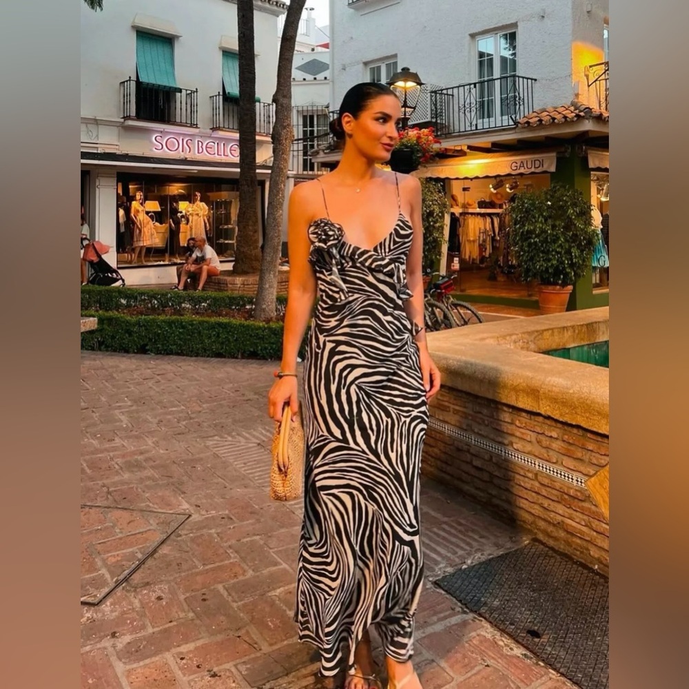 Zara Zebra maxi dress NWT 🖤